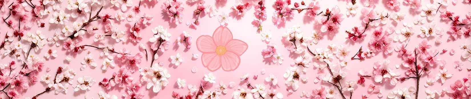 Black Petals Al Wasl Shop