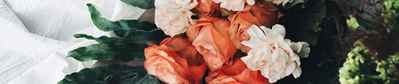 Bloom Flowers Shop Sharjah